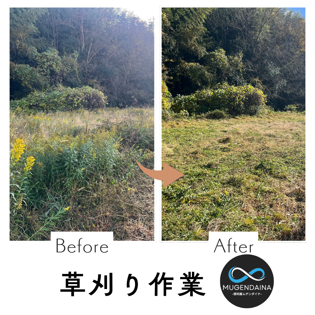 草刈り作業　ビフォーアフター