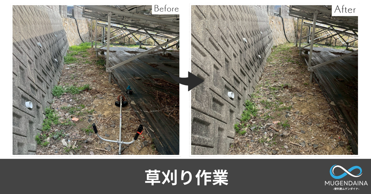 草刈りビフォーアフター