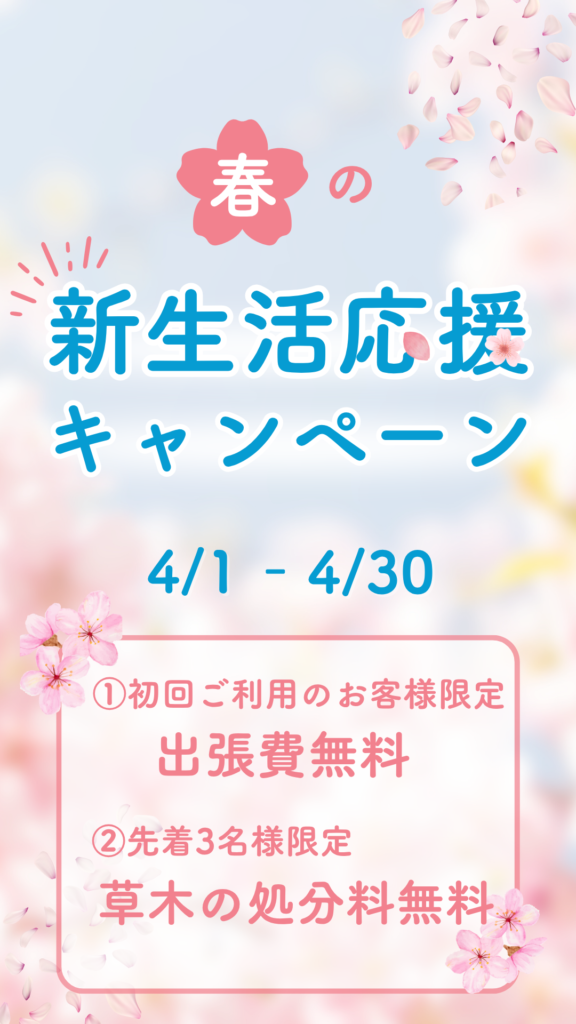 春の新生活応援キャンペーンの画像