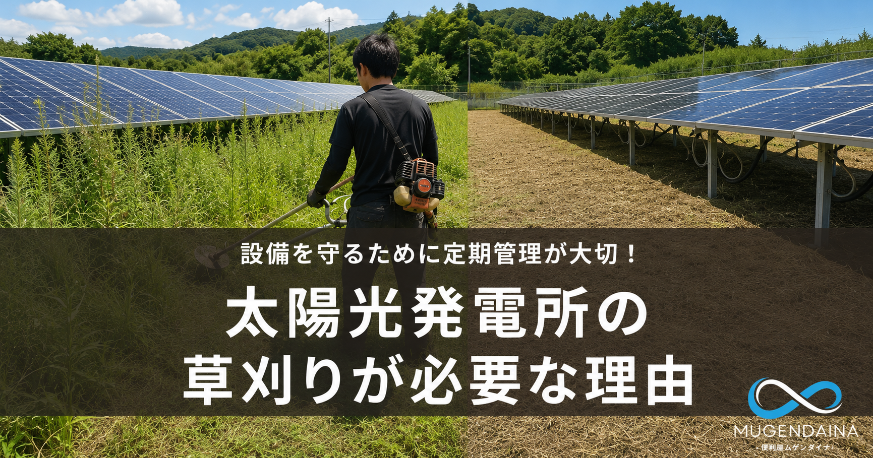 太陽光発電所で草刈り作業を行うスタッフと草刈り前後の様子