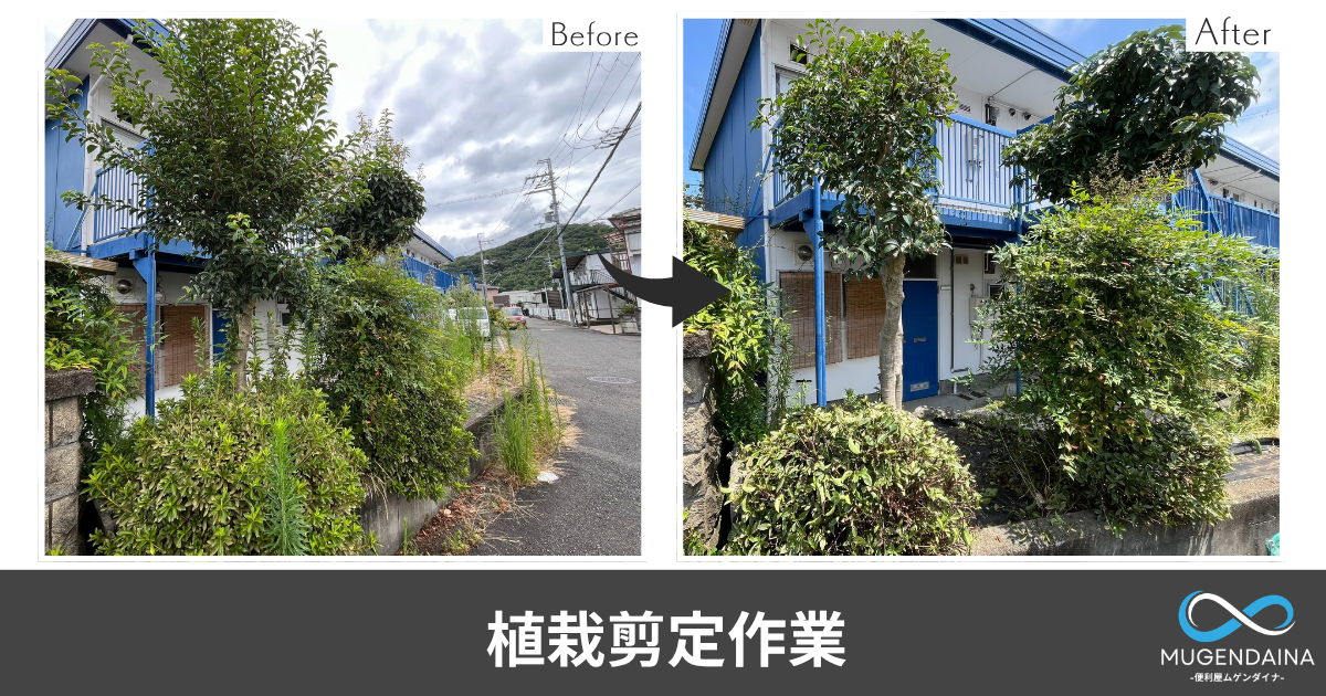 植栽剪定作業のビフォーアフター写真