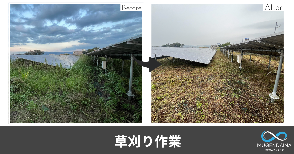 太陽光発電所の草刈り作業BeforeAfter