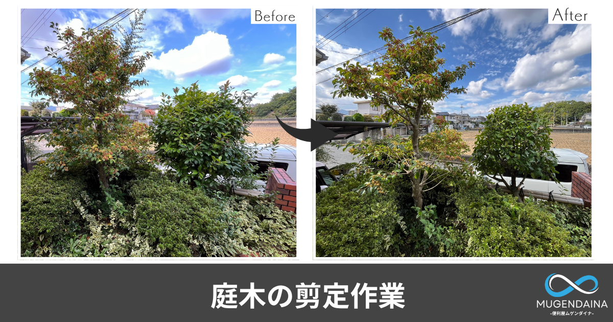 庭木の剪定のBeforeAfter